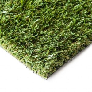 TFD 40 Fescue PLUS
