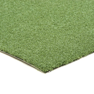 Putting Green Strip